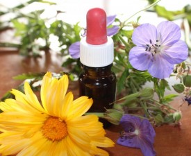 Bach Bloesem Remedies